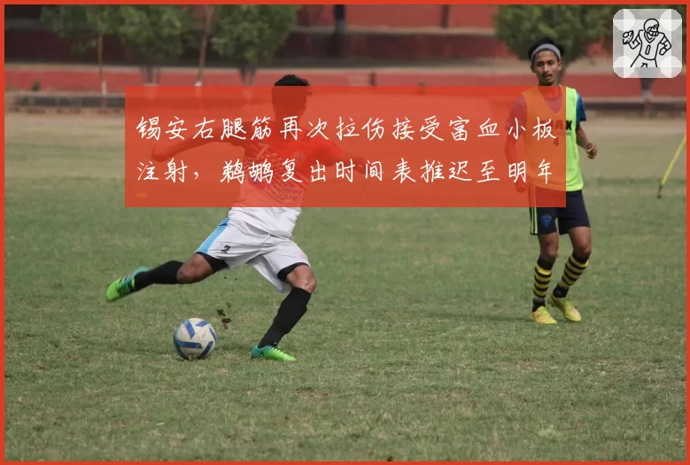 锡安右腿筋再次拉伤接受富血小板注射，鹈鹕复出时间表推迟至明年2月